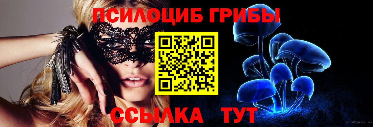 Галлюциногенные грибы ЛСД Гуково